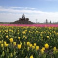 groepsaccomodatie-de-vuurtoren